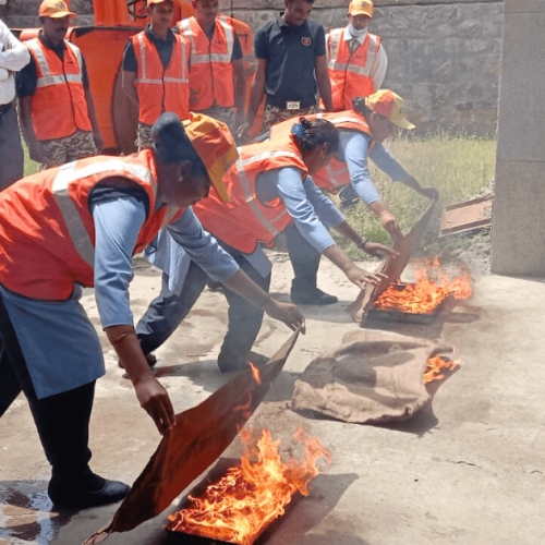 imgi_11_Untitled-design-73-1