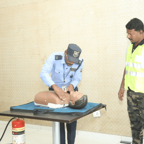 imgi_12_Untitled-design-70-1